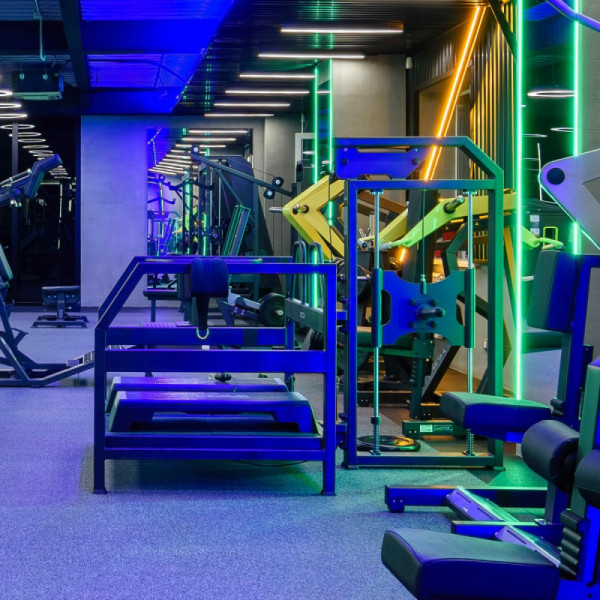 Приседания с поясом ТАНГЕН A3067
