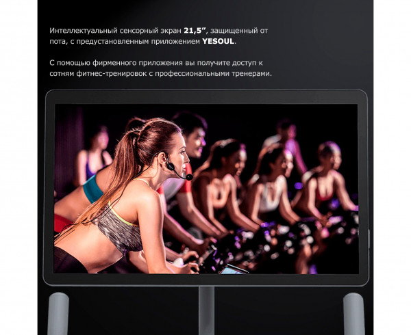 Велотренажер DFC Yesoul BS3-B-21.5 черный (дисплей 21.5")