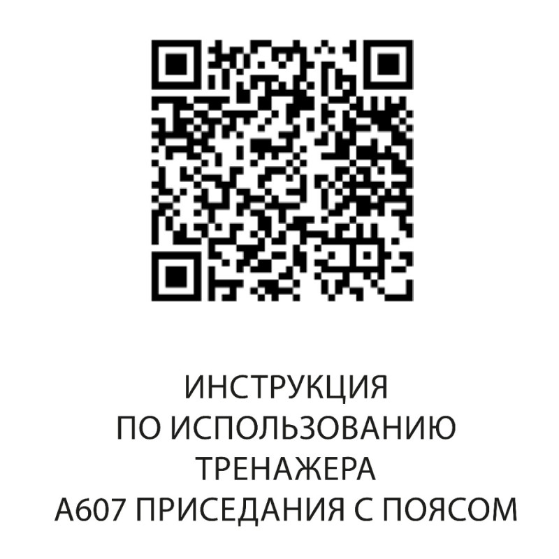 Приседания с поясом DHZ A607